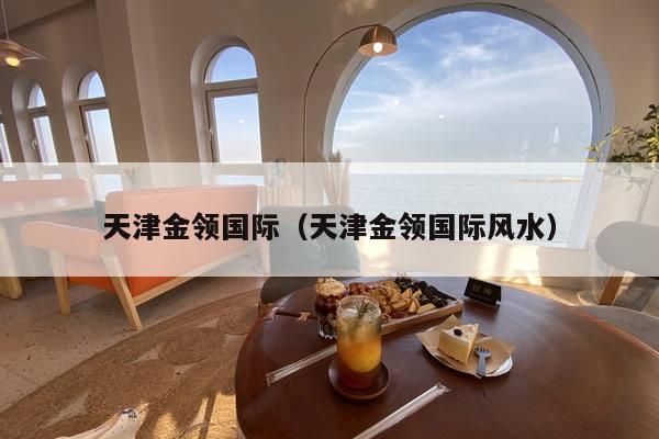 天津金领国际的房子怎么样
